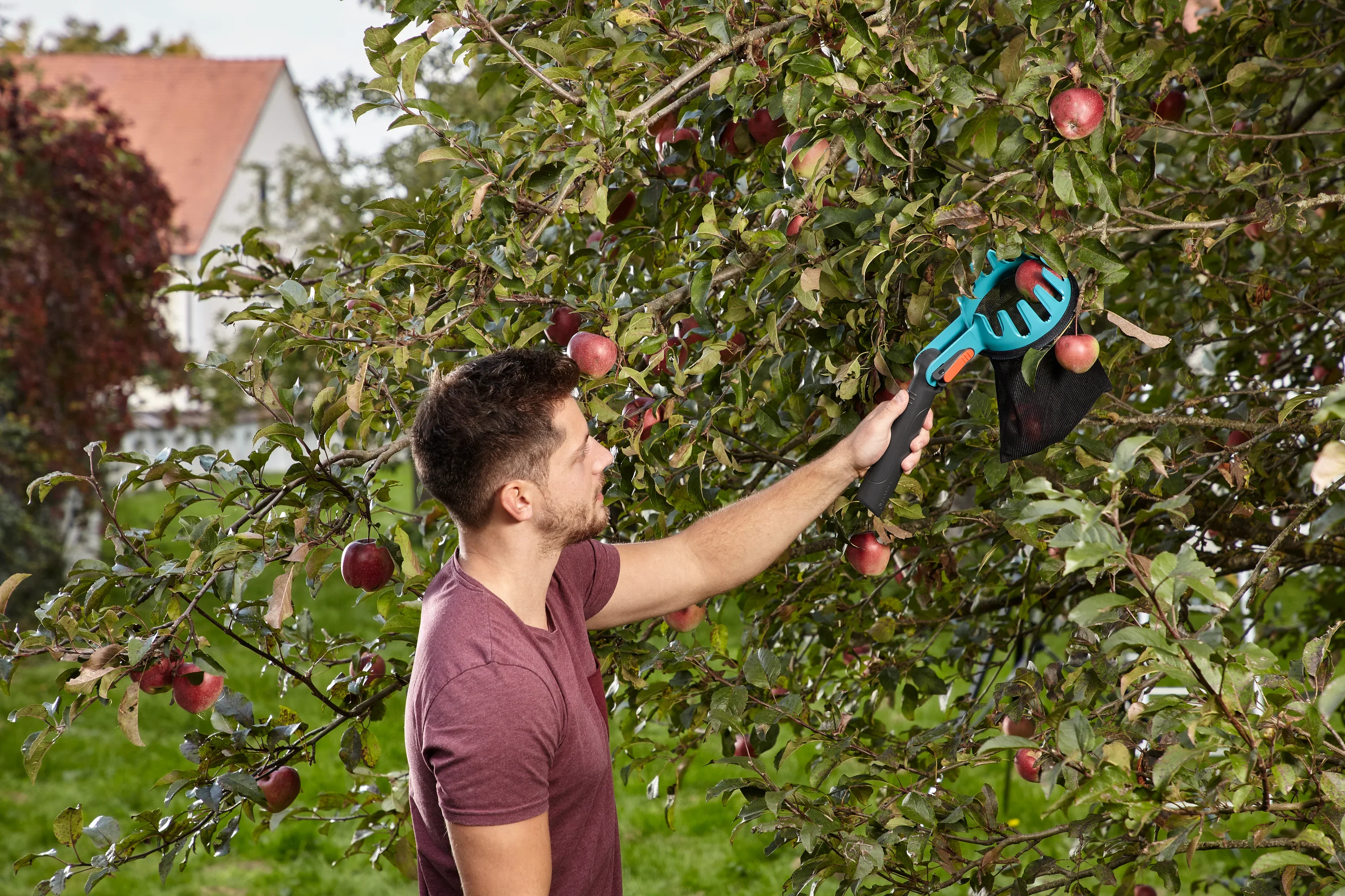 combisystem-Obstpflücker - Image 7