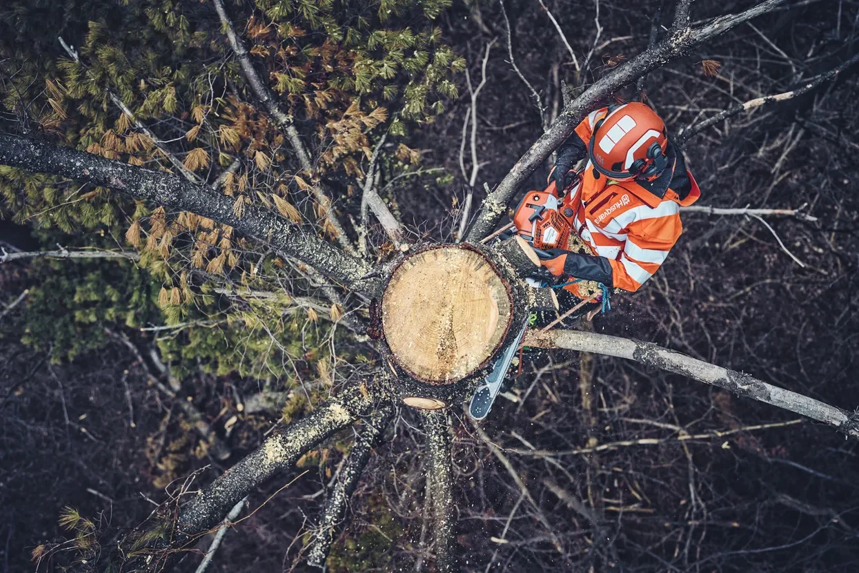 Kettensäge 562 XP® Mark II (18") - Image 3