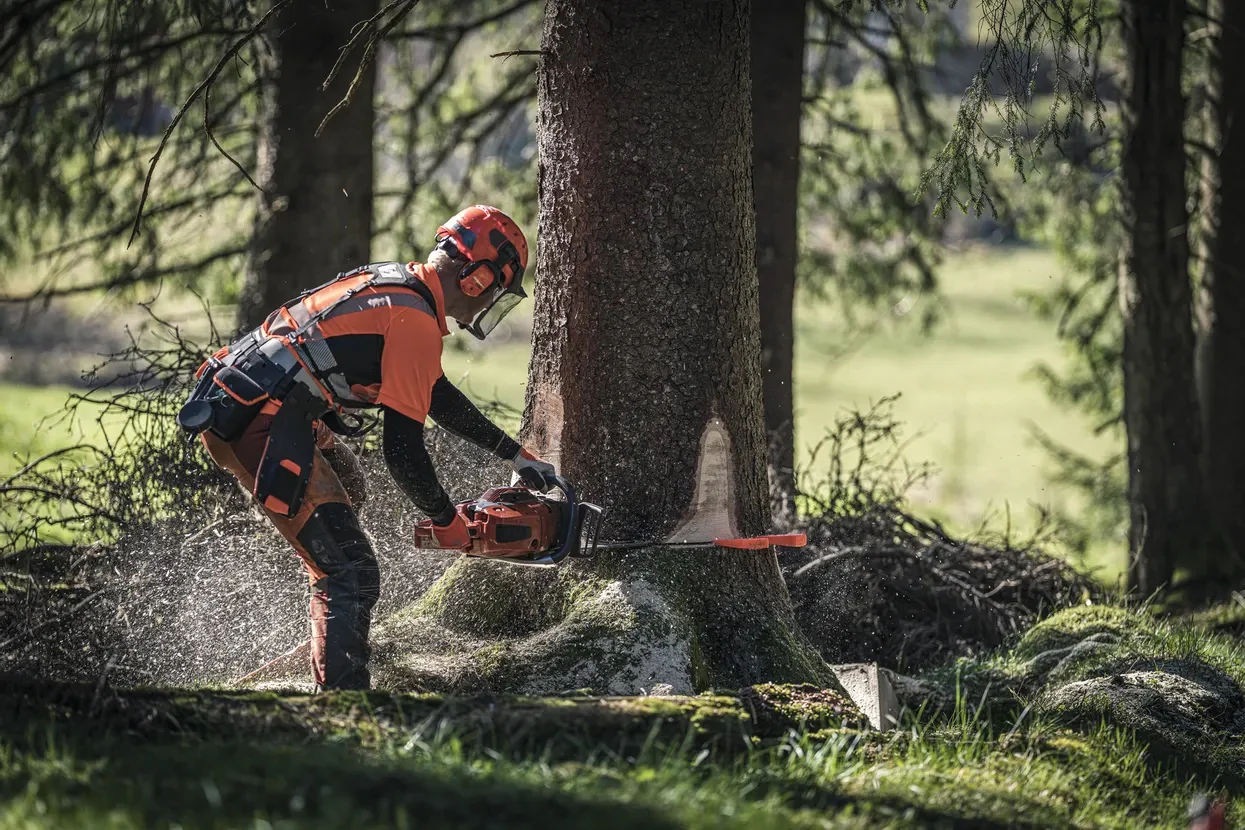 Kettensäge 572 XP® (18") - Image 3
